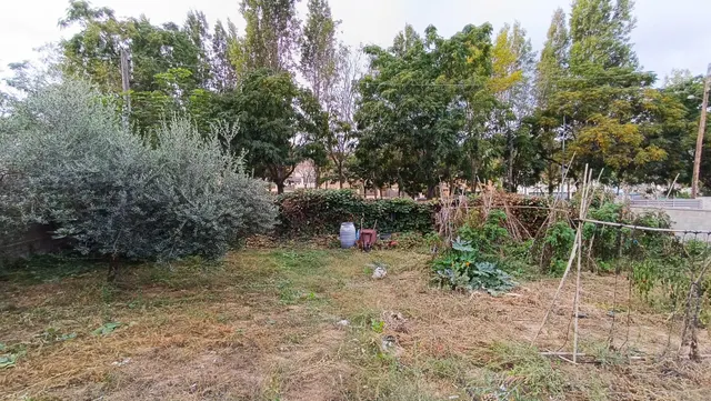 ¡¡ TERRENO EN CANYELLES - CALIFORNIAS !! — 4