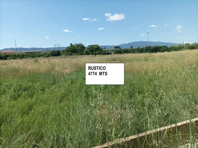 PARCELA RUSTICA PROXIMA ALCANTARILLA - foto 3