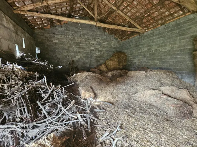 En exclusiva!!!!se vende casa  para entrar  a vivir con 12000 m2 de terreno en codosedo — 33