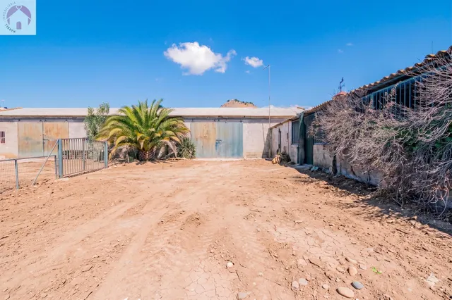 Finca en Atarfe con dos naves y cobertizo — 18