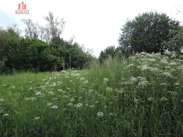 FINCA URBANIZABLE PRÓXIMA A BÓVEDA — 6