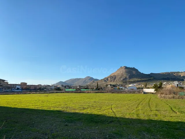 VENTA DE TERRENO RUSTICO URBANIZABLE DEL TERMINO MUNICIPAL D - foto 2