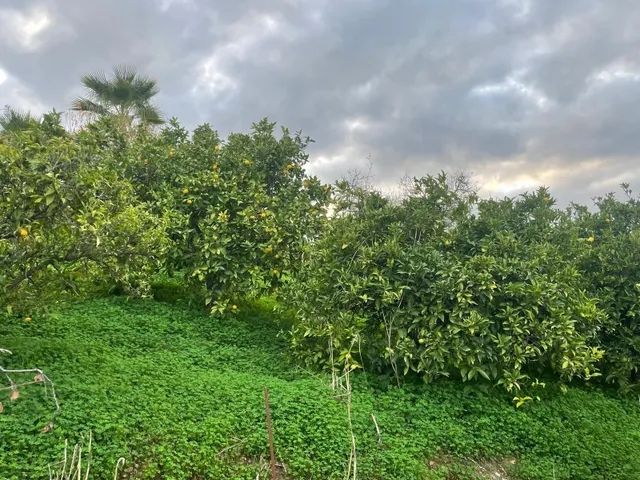 PRECIOSA FINCA RUSTICA CON ESPECTACULARES VISTAS — 23