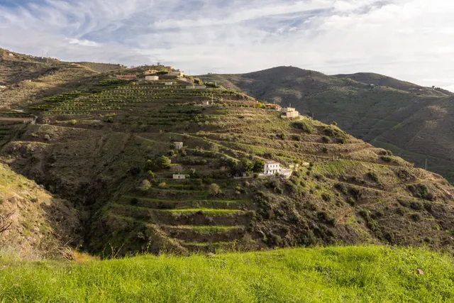 Finca en Ítrabo - Almuñecar — 12