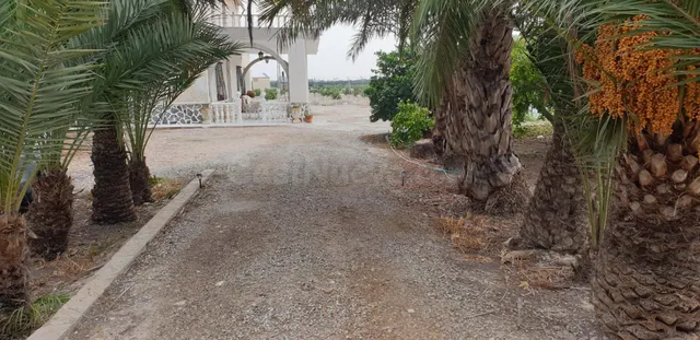 Casa de Campo a 7 Km. de Orihuela ,de 292 metros cuadrados - foto 3