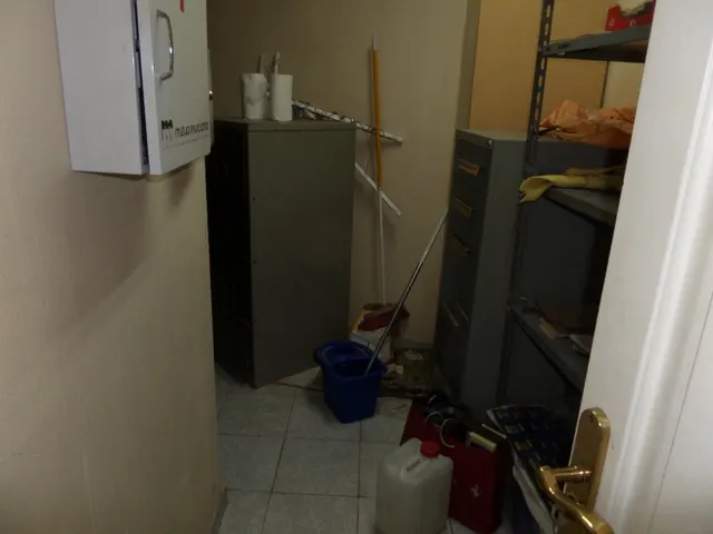 LOCAL COMERCIAL DE MAS DE 300 M2 — 8
