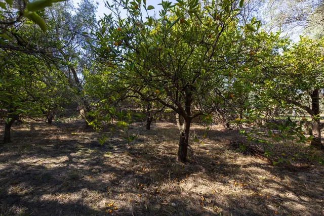 FINCA RUSTICA EN LA VEGUETA, PINOS DEL VALLE!! — 7