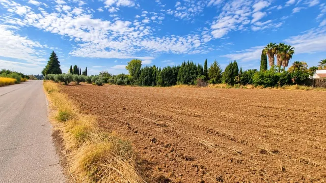 Parcela rústica de 4.824 m2 en Llanos de Moraleda, Moraleda  - foto 5