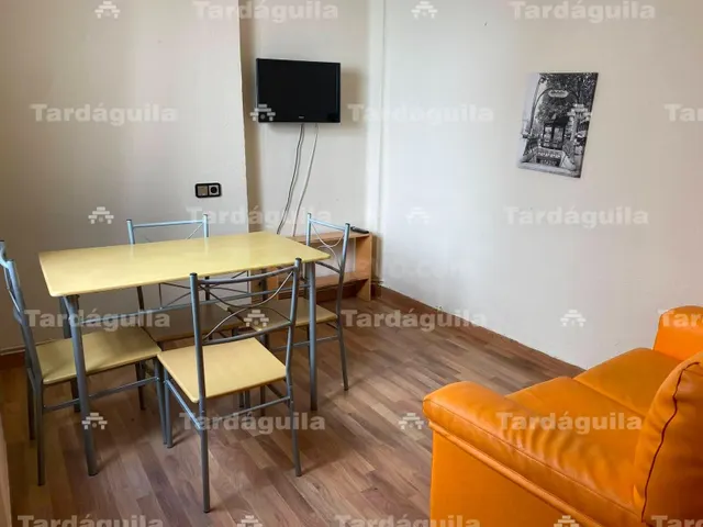 PISO DE 4 DORMITORIOS 2 BAÑOS JUNTO PLAZA MAYOR - foto 5