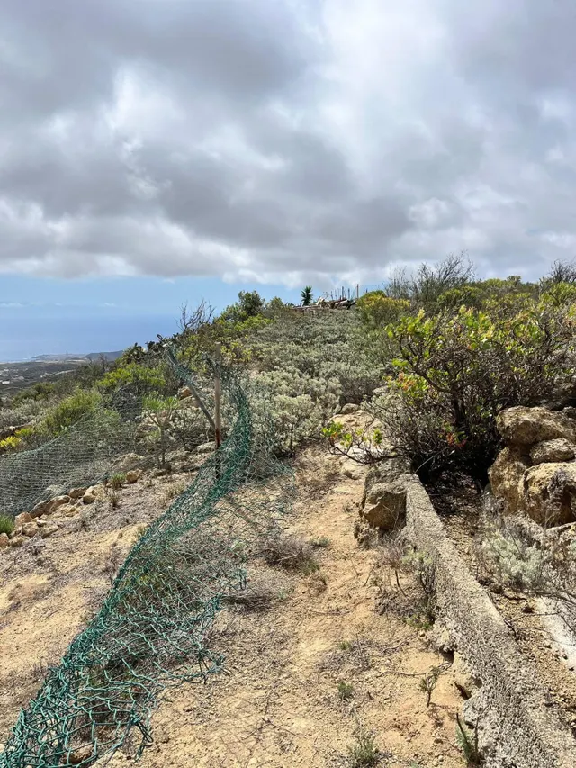 TERRENO RURAL EN VENTA EN ARICO VIEJO – Sur de Tenerife - foto 3