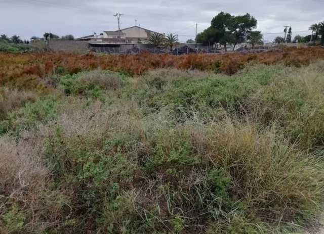 SUELO URBANIZABLE INDUSTRIAL - SANTA POLA — 7