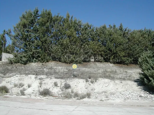 Parcelas en Cuéllar. Zona Santa Clara. Ref. 1287 — 3