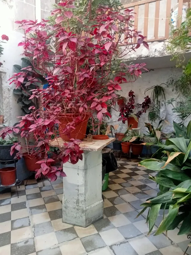 hermosos adosado — 38
