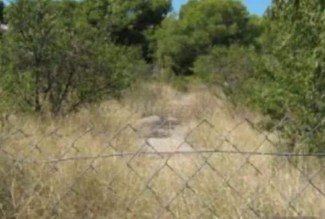 Parcela en venta - EL PINAR - foto 3