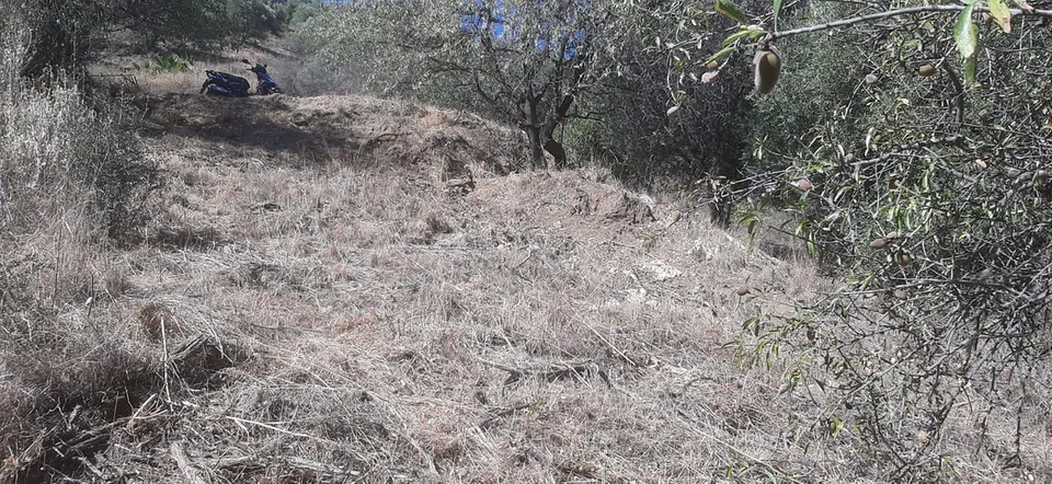 Finca rústica en zona alta de Marbella con vistas y servicios