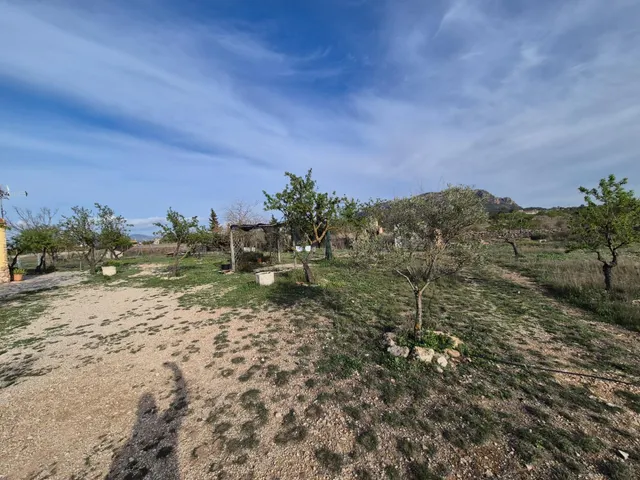 VENTA DE CAMPO - foto 3