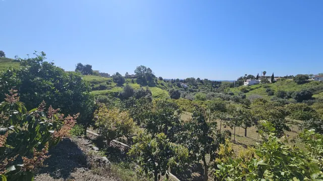 PARCELA RÚSTICA CON CASA DE APEROS  Y ÁRBOLES FRUTALES EN LA ALQUERÍA — 6