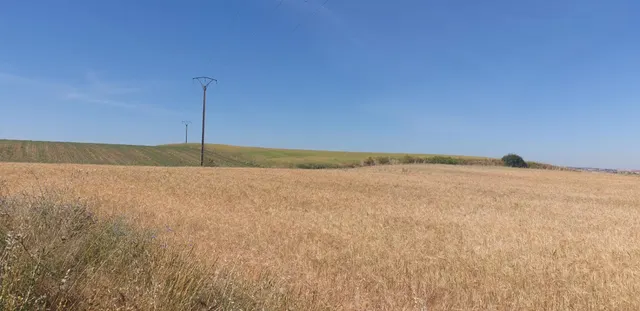 Urbis te ofrece un Terreno Agrario No Urbano en Salamanca, Zona PEÑISCAS, Salamanca — 2