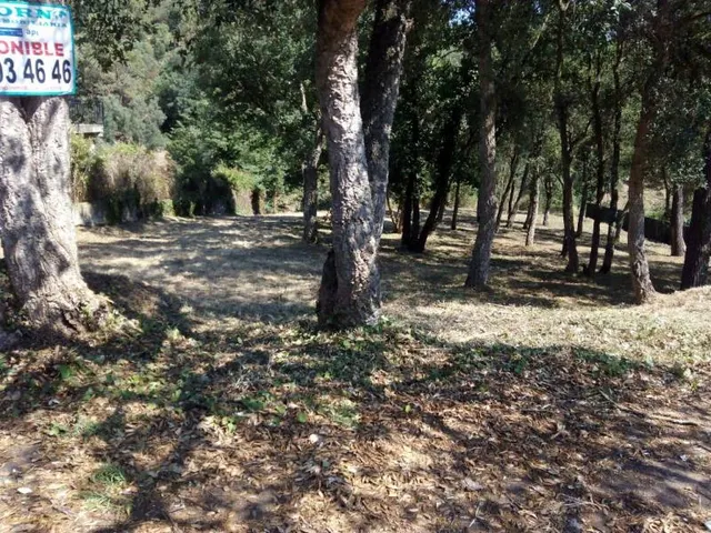 A 7 KM DE LA PLAYA DE BLANES --  se venden parcela — 2