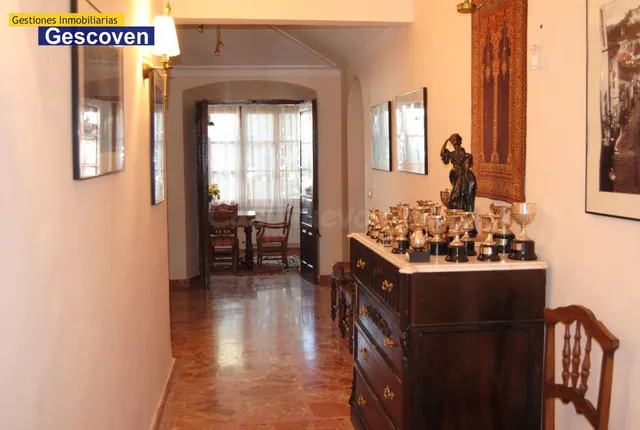 VIVIENDA MUY CÉNTRICA CON GRAN PATIO Y OTRAS EDIFICACIONES - foto 3