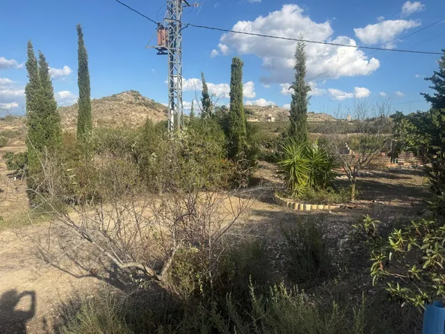 TERRENO RÚSTICO EN VENTA EN TOLOMÓ – ASPE (ALICANTE) - foto 4