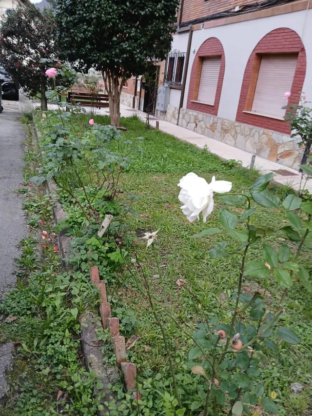 Amplio Piso en Caborana, Aller - Ideal para Entrar a Vivir por €65.000 — 14