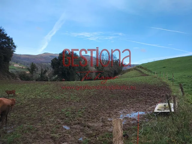 CASA DE PIEDRA CON AMPLIA PARCELA. ESCOBEDO DE VILLAFUFRE. — 44