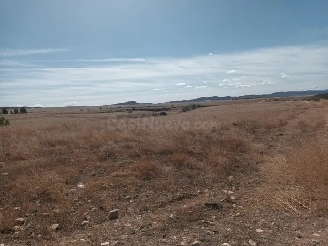 PARCELA EN LA PACA - foto 2