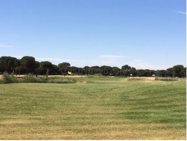 PARCELAS EN ALDEAMAYOR GOLF - foto 5
