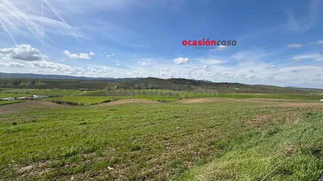SOLAR DE 1.000 M2 A LA VENTA, DIVISIBLE EN 3 SOLARES - foto 3