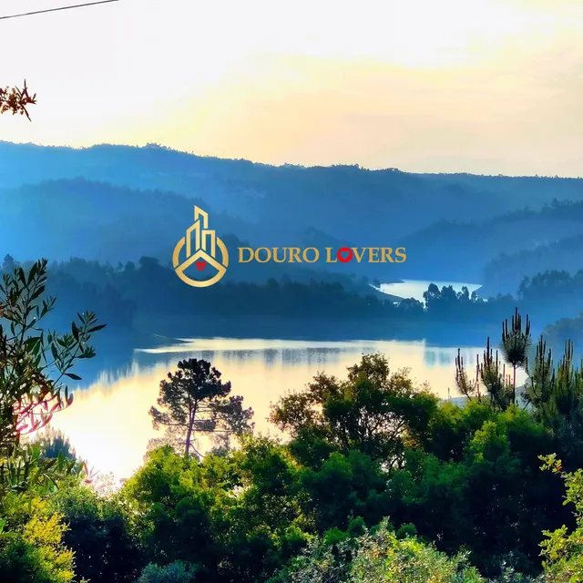 Parcela en venta - Aldeia do Mato e Souto — 11