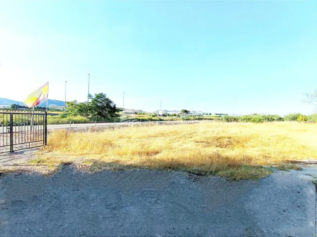 VENTA DE PARCELA ENTRE LA ROMANA Y ASPE — 15