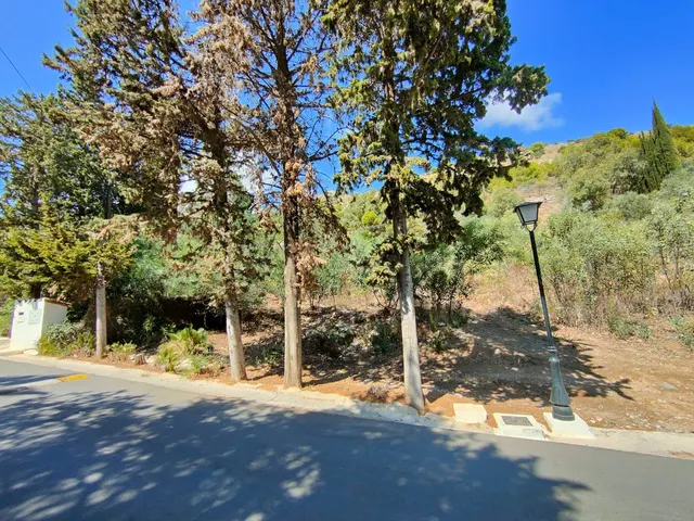 Parcela en venta - Centro — 5