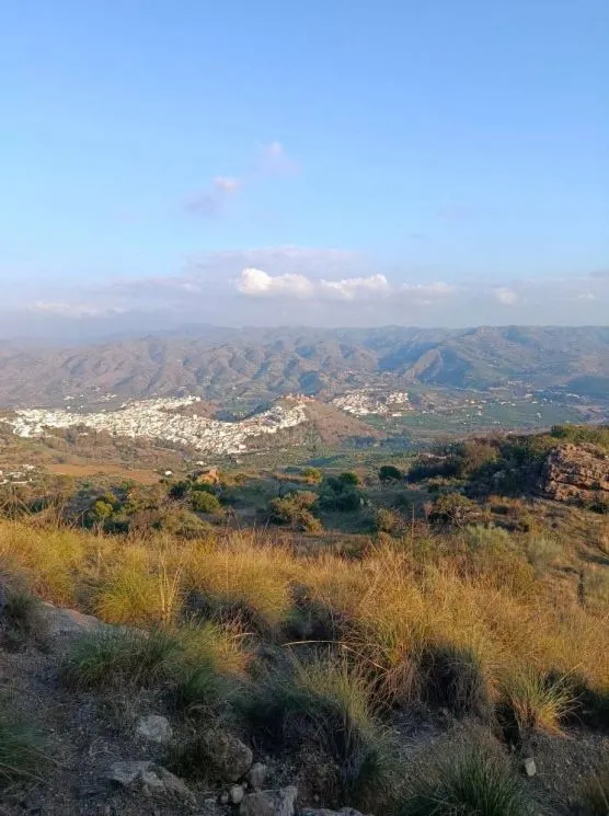 Parcela en venta - Alora pueblo — 13