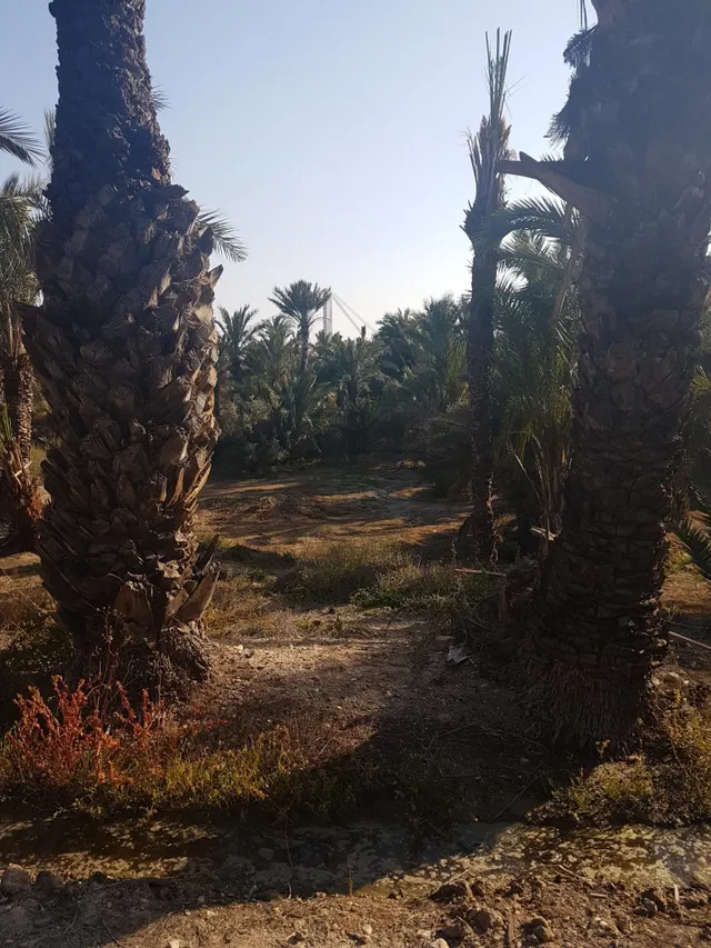 terreno para construir chalet — 21