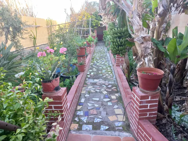 MAGNIFICA CASA CORTIJO FRENTE AL MAR — 7