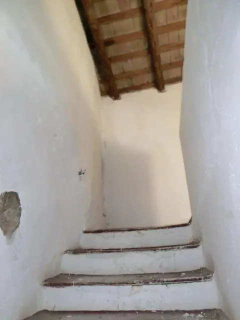 Finca de aprox 67 hectàreas. Con dos casas principales para reformar — 6