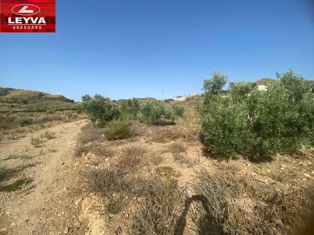 SE VENDE TERRENO RURAL DE 15000 M2 EN RAMBLA DE LOS MORENOS  - foto 3