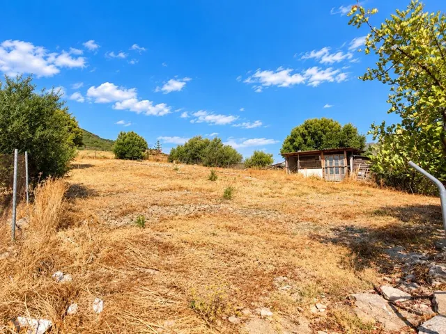 VENTA DE EXCEPCIONAL FINCA RÚSTICA CON GRAN PARCELA Y EDIFICACIONES EN ESTEPONA — 8