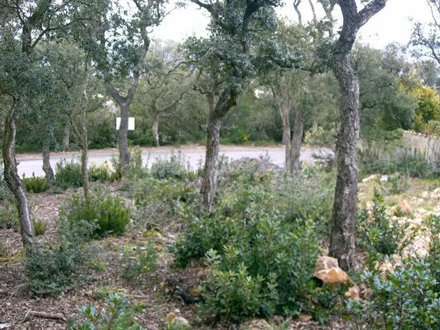 Parcela urbanizable en la Urbanización Mas Nou de Platja d'A