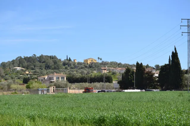 Finca rústica en venta en Santa Margalida. - foto 2