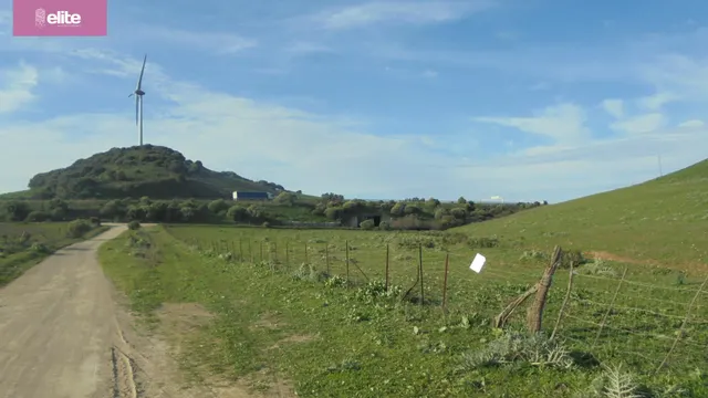 MAGNIFICA DEHESA EN ALCALA DE LOS GAZULES — 3