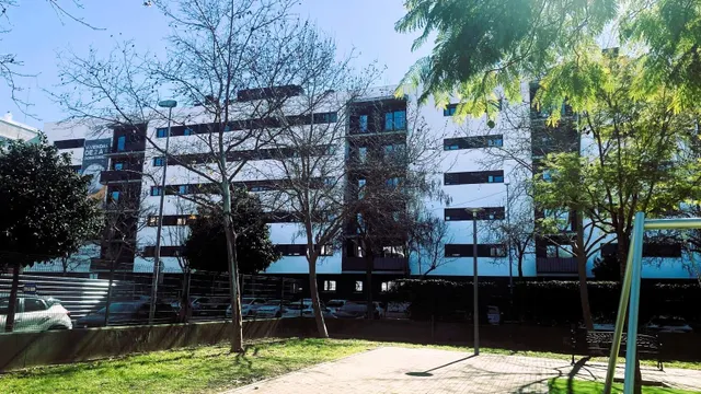 Tranquilidad y Calidad de Vida en Sevilla Este, Sevilla — 33