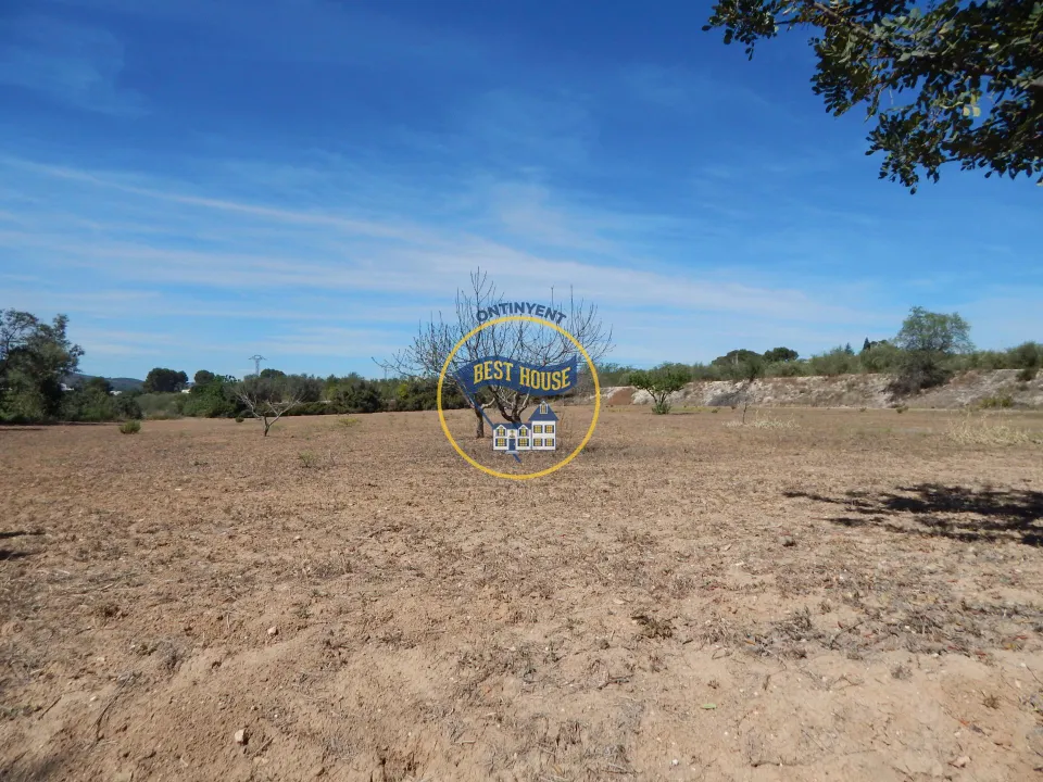 TERRENO DE 17.900M2  EN PRODUCCIÓN CON POSSIBILIDAD DE CONSTRUIR EN AGULLENT(VALENCIA)