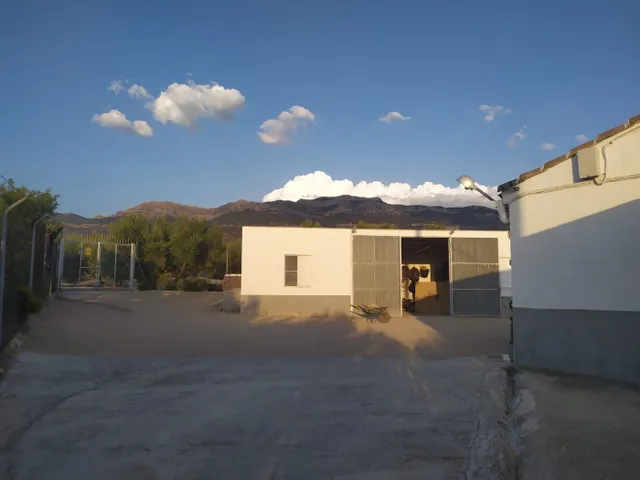 CORTIJO CON GRAN PRODUCCIÓN ACEITUNERA EN 5,5 Ha. — 8