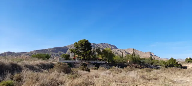 PARCELA 30.000 METROS DE TERRENO — 33