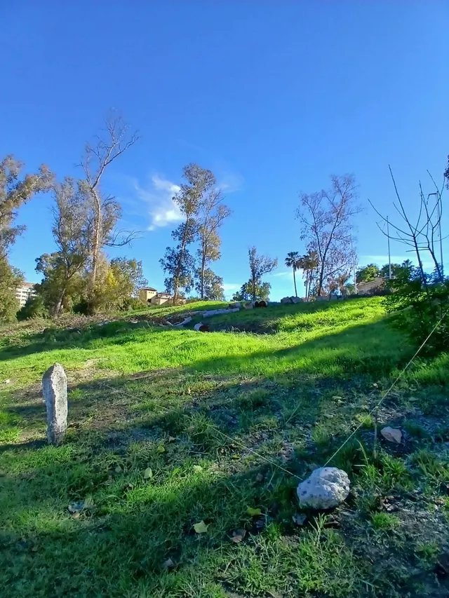 Terreno edificable con licencia en Guadalmina Marbella — 11