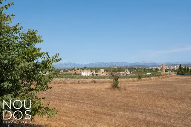 Solar urbanizable en S'Aranjassa – Es Pil·larí - foto 3