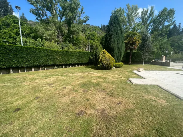 ESPECTACULAR FINCA CON CHALET A 5 MIN DE PONFERRADA — 29