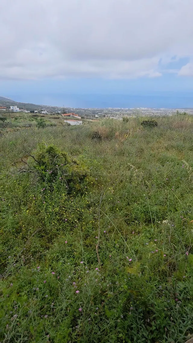 Terreno rústico de 808 m2 en Arafo, Tenerife | Excelente acc